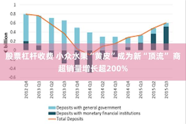 股票杠杆收费 小众水果“黄皮”成为新“顶流” 商超销量增长超200%