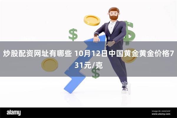 炒股配资网址有哪些 10月12日中国黄金黄金价格731元/克