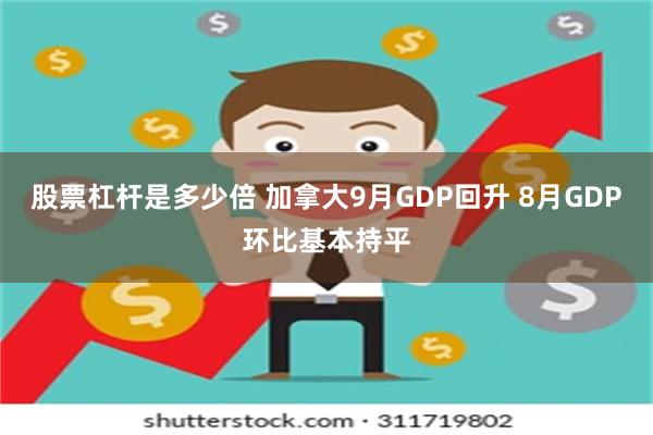 股票杠杆是多少倍 加拿大9月GDP回升 8月GDP环比基本持平