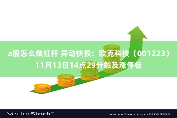 a股怎么做杠杆 异动快报：欧克科技（001223）11月13日14点29分触及涨停板