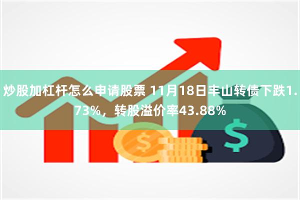 炒股加杠杆怎么申请股票 11月18日丰山转债下跌1.73%，转股溢价率43.88%