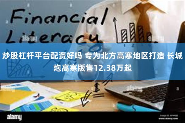 炒股杠杆平台配资好吗 专为北方高寒地区打造 长城炮高寒版售12.38万起