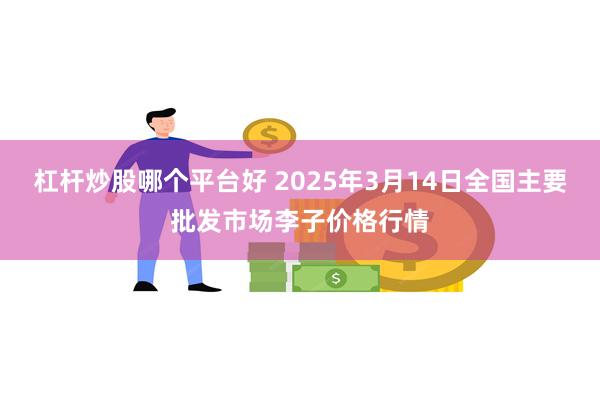 杠杆炒股哪个平台好 2025年3月14日全国主要批发市场李子价格行情